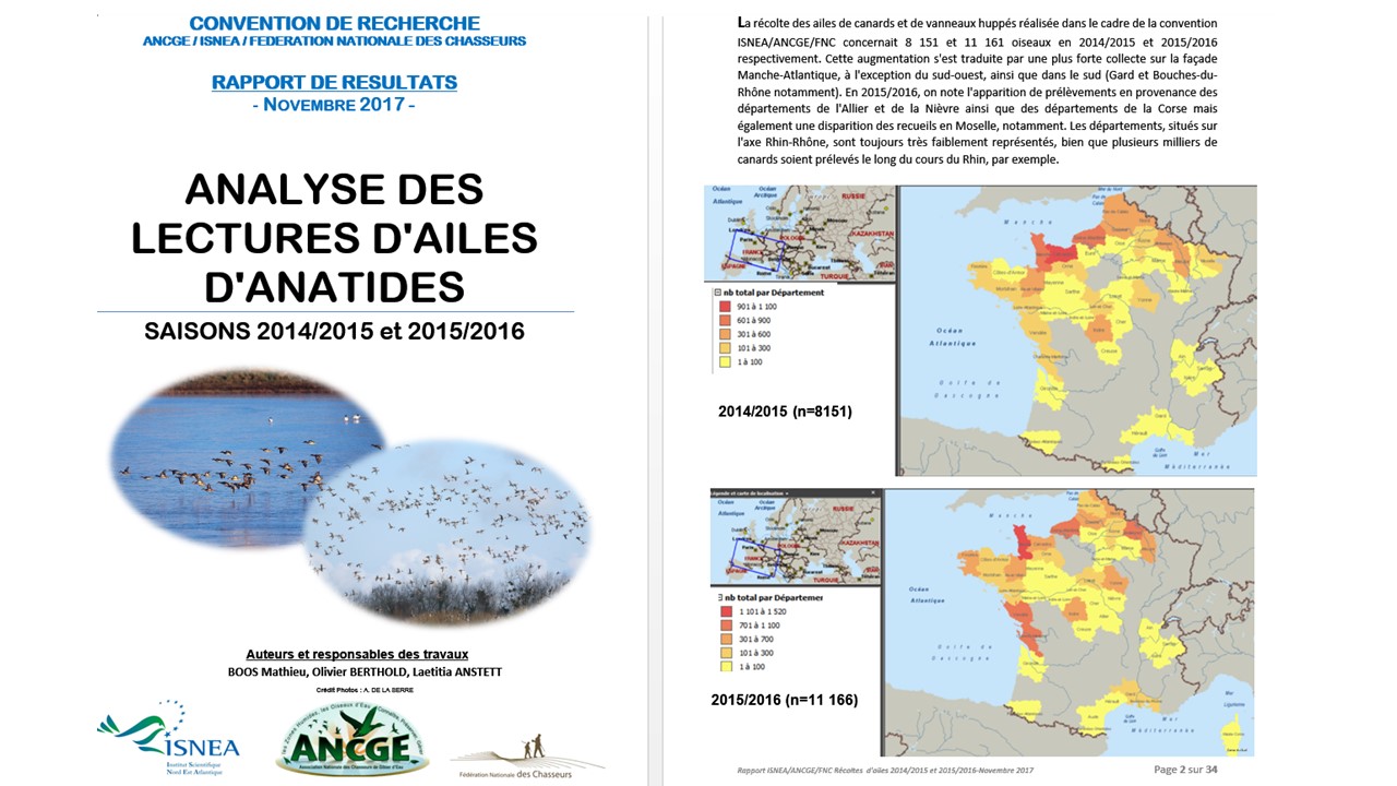Rapport des lectures d’ailes de canards et vanneaux 2014-2015-2016